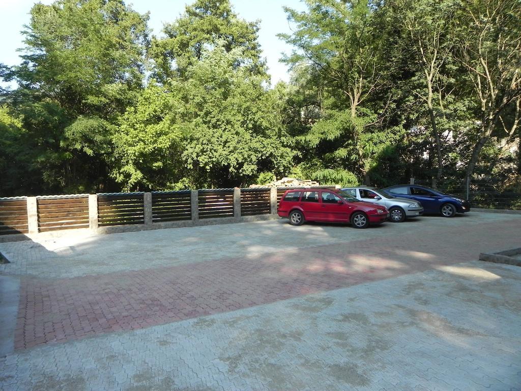 Pensiunea Iasmina Si Pescarul Călimăneşti المظهر الخارجي الصورة